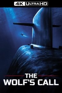Poster 31