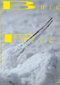 BRUTE FORCE
