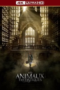 Poster 242