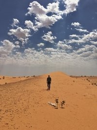 Poster for Sahara