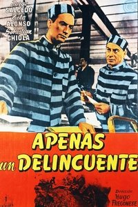 Poster 4