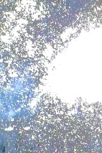 天王洲アイル