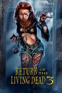 Poster 33