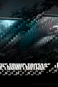 The Found Footage Phenomenon