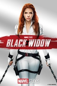Poster 334