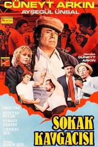 Poster 1