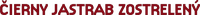 Logo 42