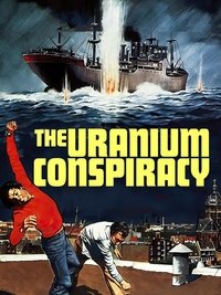 Poster 8