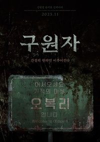 Poster for The Favor