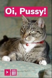 Poster for Oi, Pussy