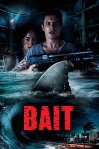 Poster 25