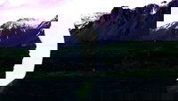 Backdrop 8