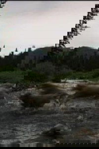 Hell Roaring Creek