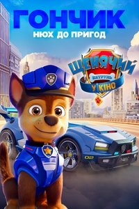 Poster 46