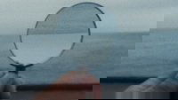 Backdrop 5