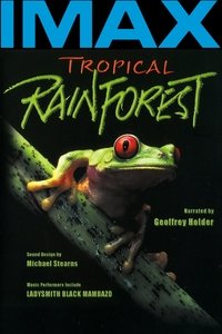 Poster 3