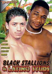 Poster for Black Stallions & Latino Studs