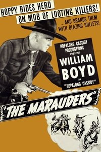 Poster 2