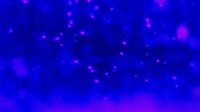 Backdrop 0