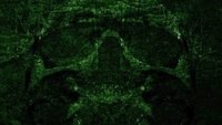 Backdrop 1