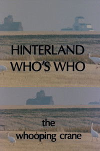 Poster for Hinterland Who's Who: Whooping Crane