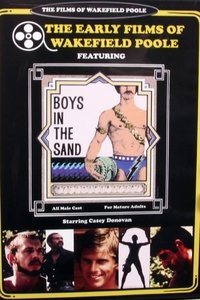 Poster 5