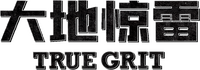 Logo 9