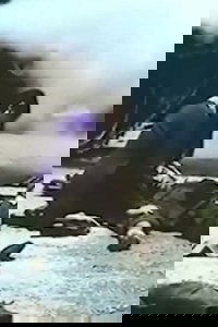 Death of Soldier