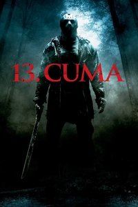 Poster 13
