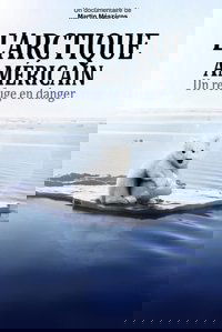 Poster for Arctic