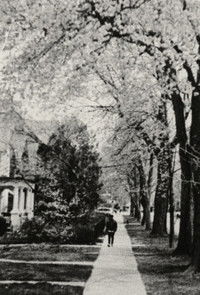 Poster for Delight at Robert St.