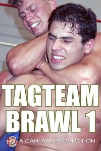 Poster for Tag Team Brawl 1