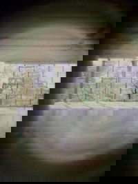 Untitled (34bsp)