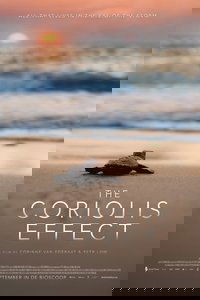 The Coriolis Effect