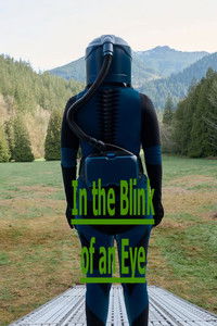 In the Blink of an Eye