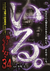Poster for 「Iru.」~ Kowasugiru Tōkō Eizō 13-hon ~ Vol.34