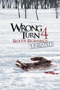Poster 13