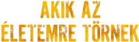 Logo 13