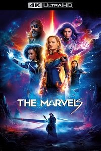 Poster 223