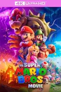 Poster 311