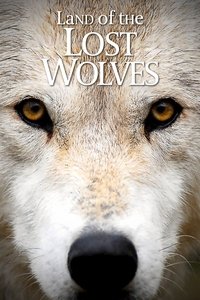 Poster for Land of the Lost Wolves