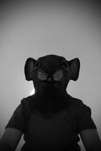 Profile of Arthur Vischer