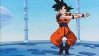 El fin del permiso de Goku