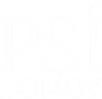 Logo 8