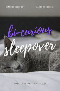 Poster for Bi-curious Sleepover