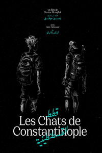 Les Chats de Constantinople