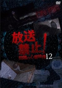 Poster for Broadcast Prohibited! Troubling Supernatural Footage 12