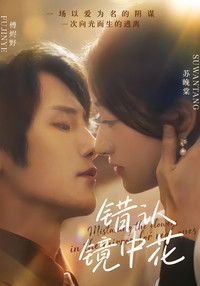 Poster for 错认镜中花