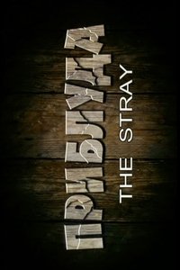 The Stray