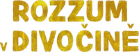 Logo 60